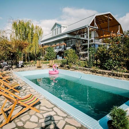 Hotel Chateau Dzveli Gavazi Akhalsopeli  Exterior foto